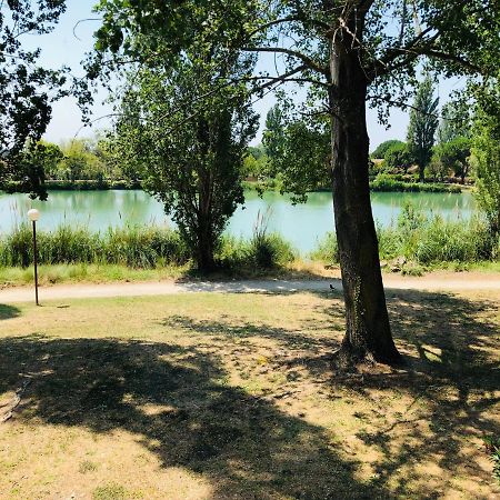 Appartement 239 Les Salicornes Арль Екстер'єр фото